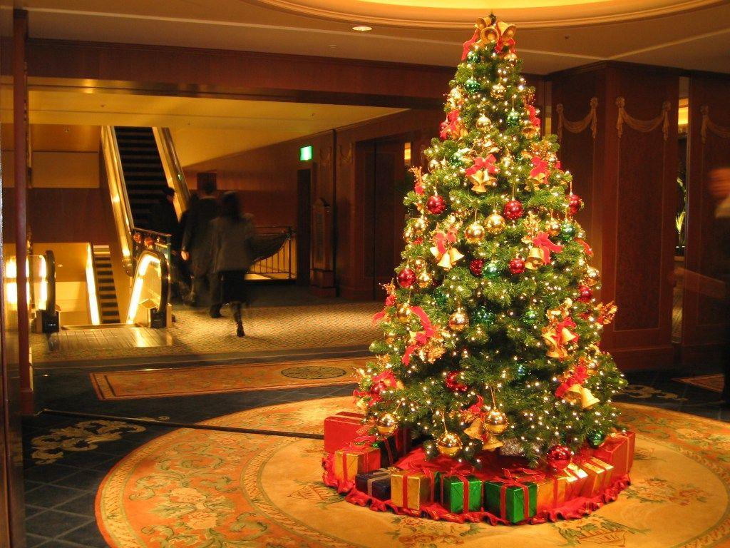 1024x768 Christmas TREE IN YOUR HOME ..GO ORGANIC ⋆ Instyle Fashion One