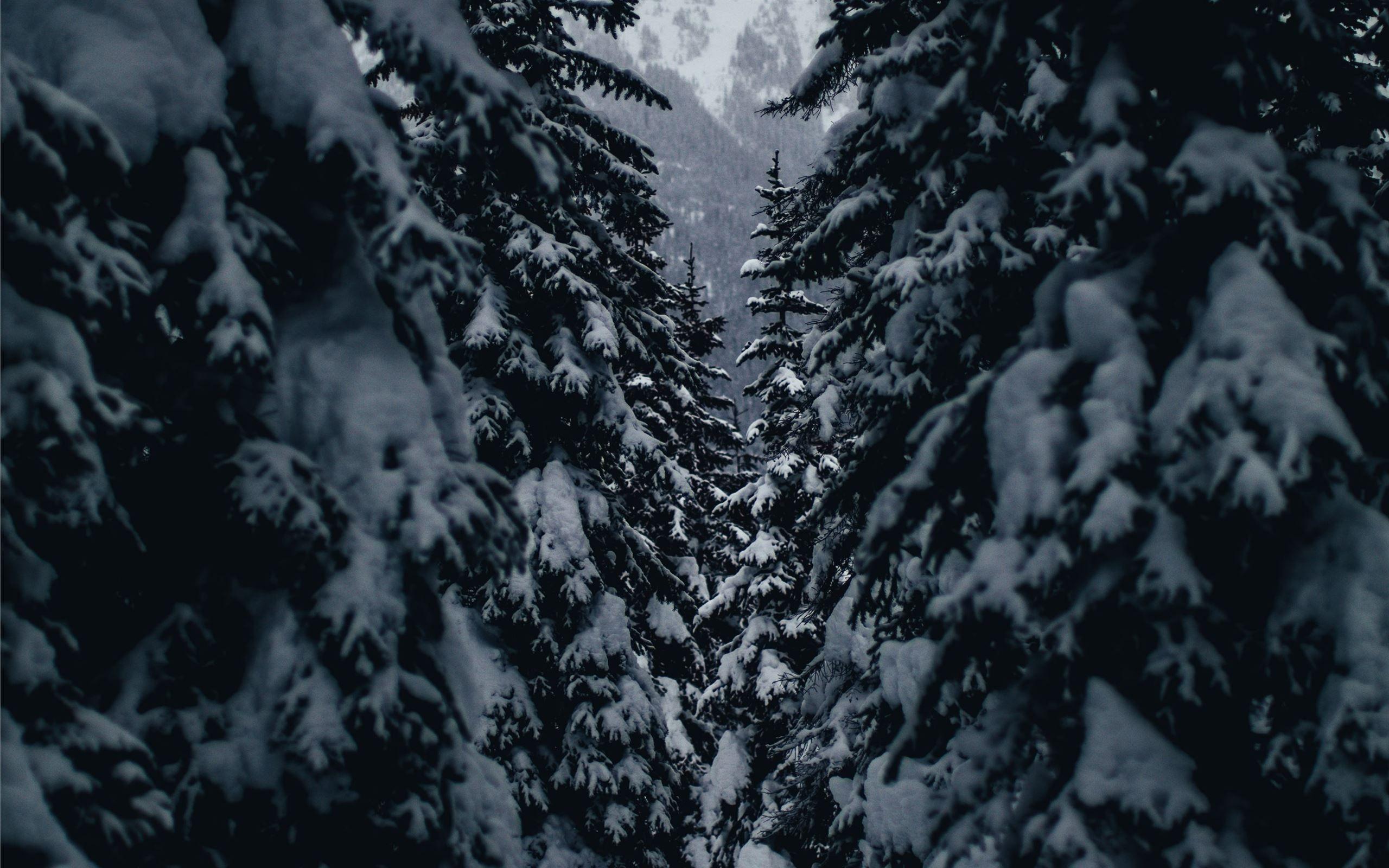 2560x1600 Duffey Pass, Lillooet, Ca. MacBook Air Wallpaper Download