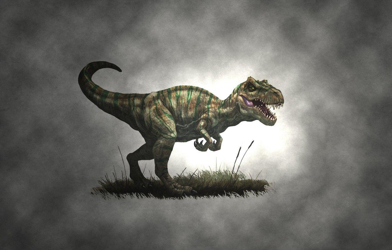 Allosaurus Wallpapers Top Free Allosaurus Backgrounds Wallpaperaccess 