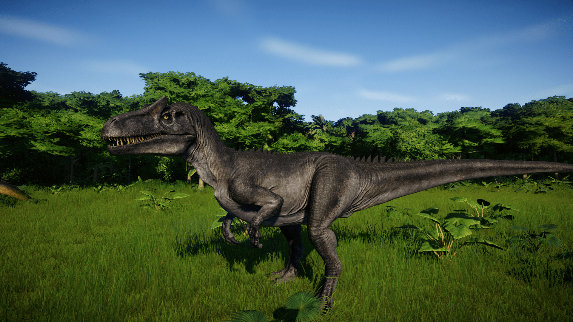 Allosaurus Wallpapers Top Free Allosaurus Backgrounds WallpaperAccess Allosaurus Wallpapers Top Free Allosaurus Backgrounds WallpaperAccess