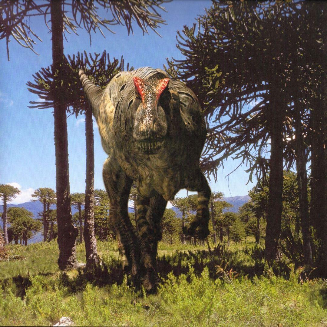 1080x1080 Dinosaur duels tournament: Round 1: Fight 2: Allosaurus vs Mapusaurus