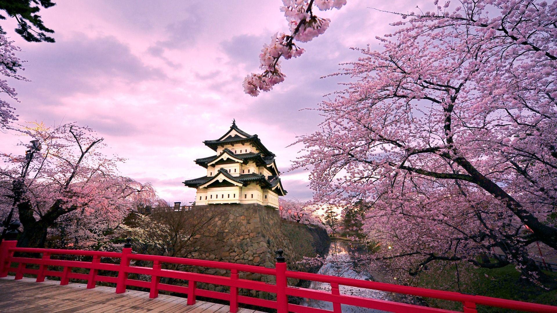 Spring In Japan Wallpapers Top Free Spring In Japan Backgrounds Wallpaperaccess