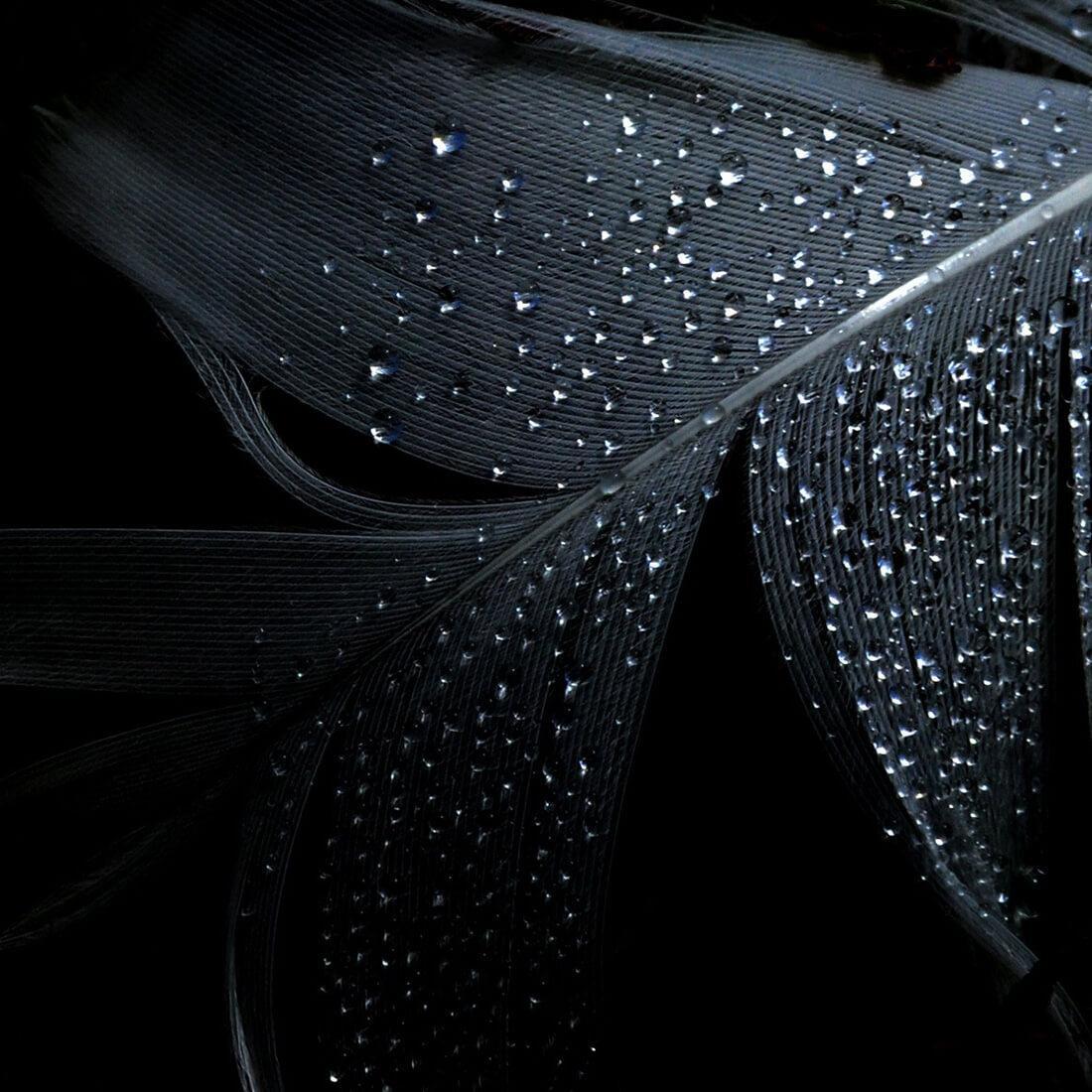 1100x1100 Black Live Wallpaper for Android