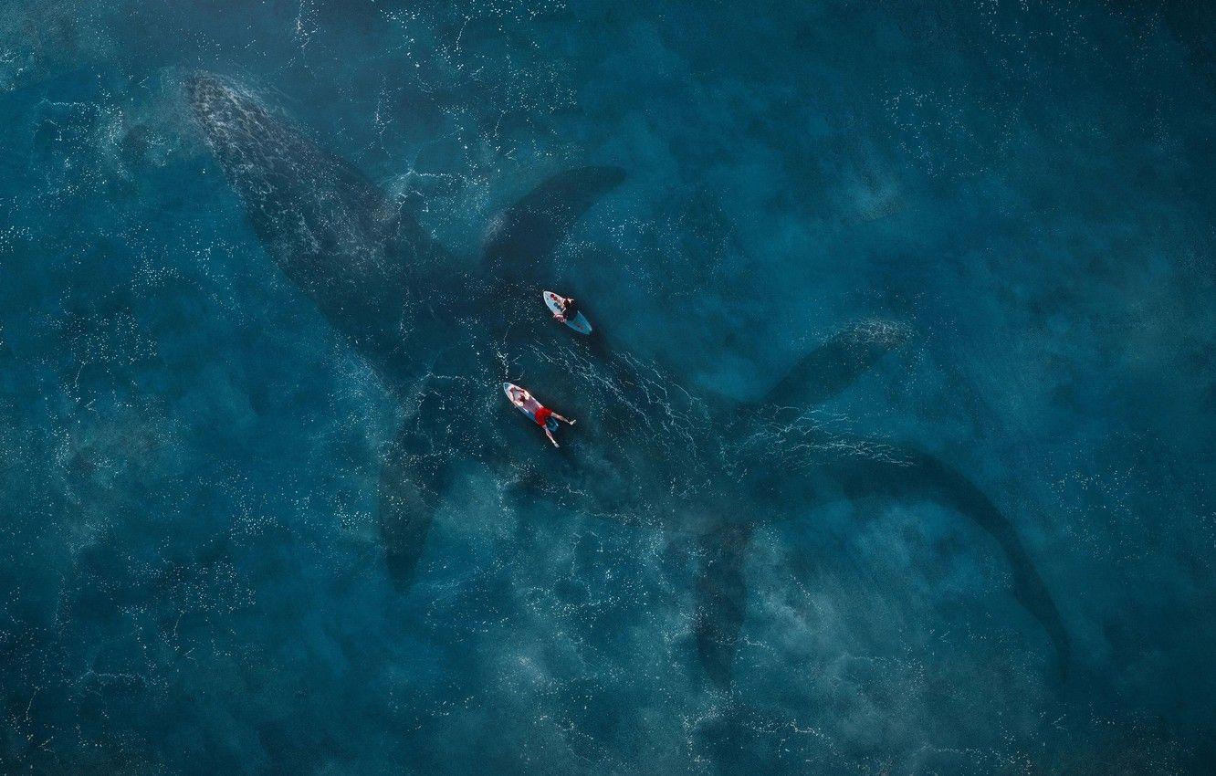 1332x850 Wallpaper sea, surface, blue, fiction, the view from the top, surfers, Jurassic World: Fallen Kingdom, Renteria, Jurassic world - for desktop, section фильмы