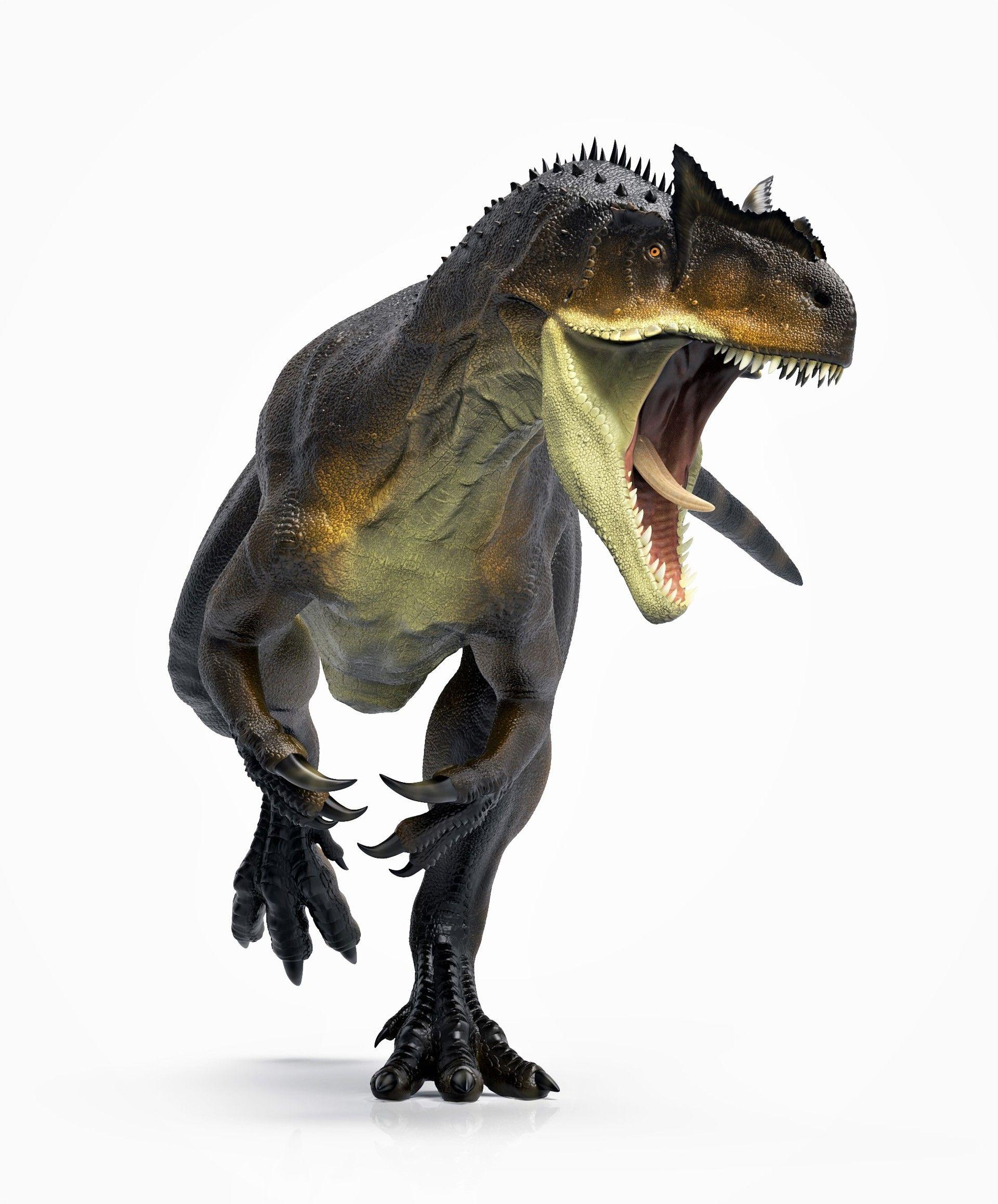 1920x2317 Allosaurus, Manuel Gil Jaramillo. Dinosaur image, Prehistoric animals, Ancient animals