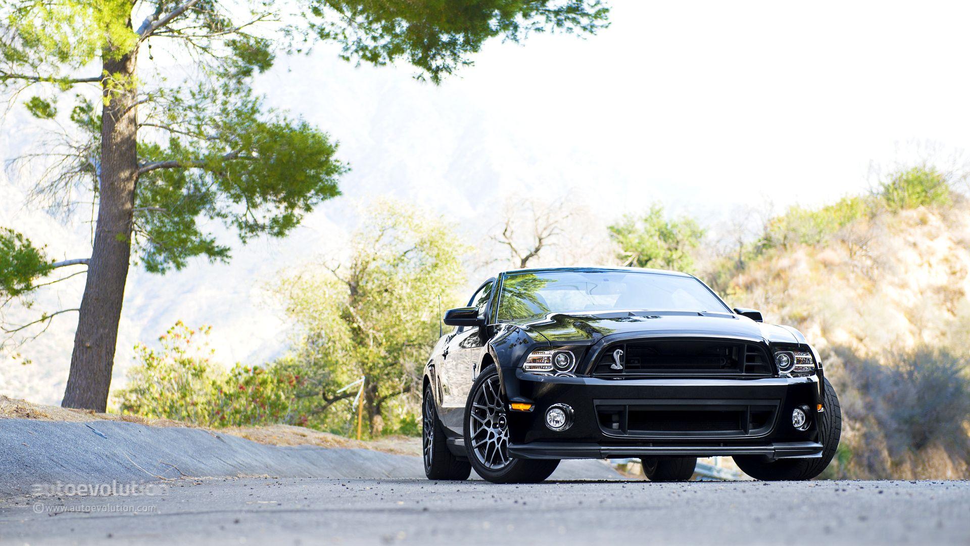 1920x1080 Ford Mustang Shelby GT500 HD Wallpaper