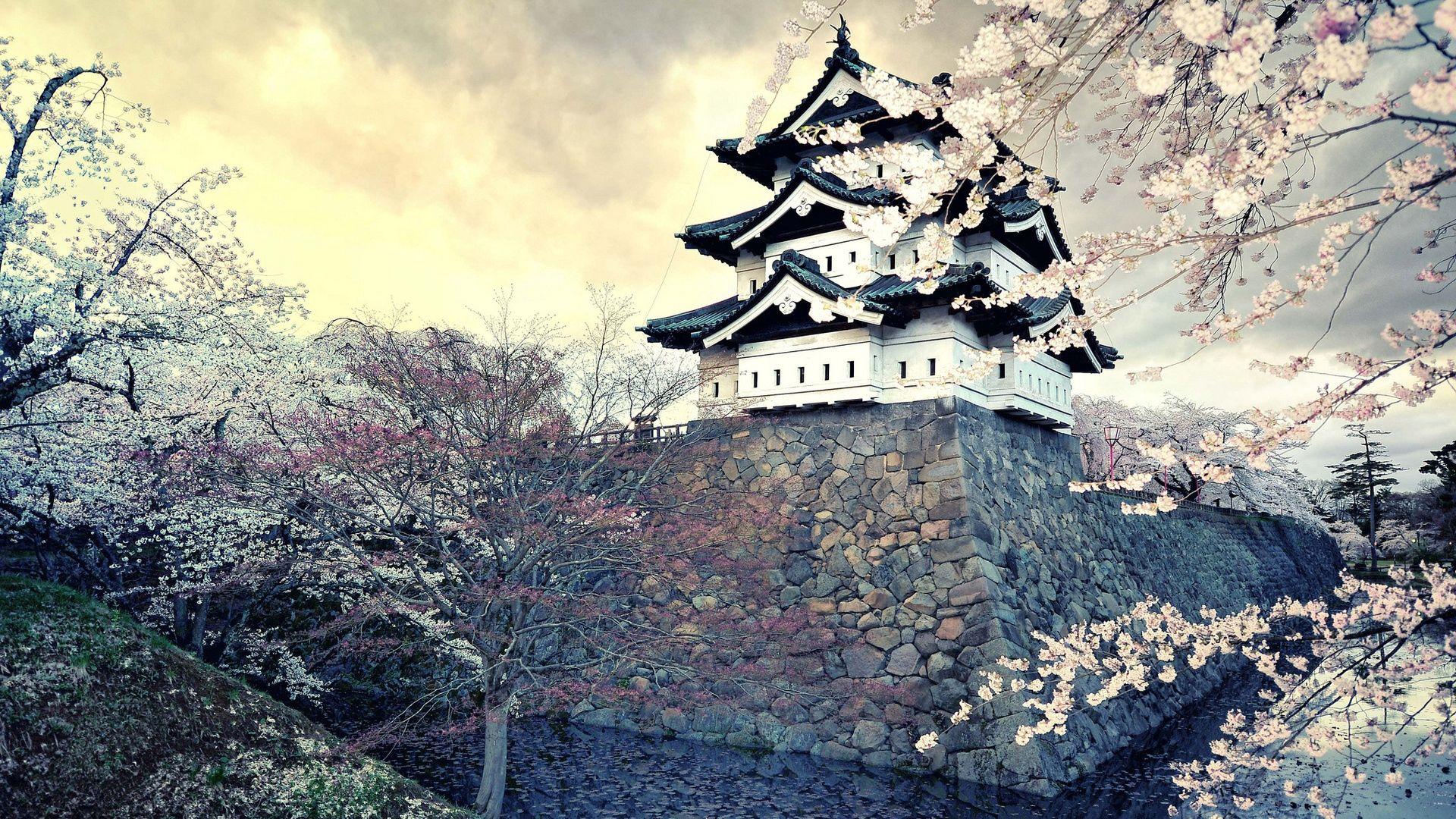 1920x1080 Download wallpaper 1920x1080 city, sakura, japan, spring full HD
