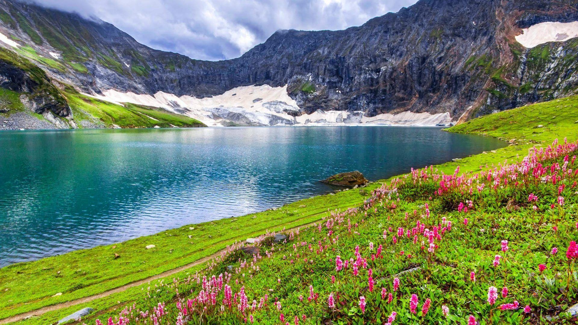 1920x1080 February 2017 wallpaper: Flowers Photography Green