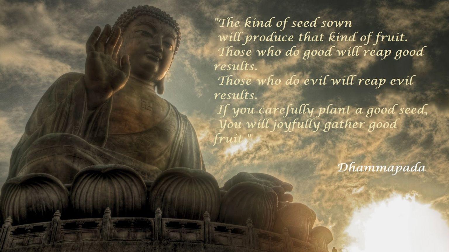 1536x864 Free download Image Quotes Buddha Sayings Life Change Wallpaper [1600x1067] for your Desktop, Mobile & Tablet. Explore Buddha Quote Wallpaper. Buddha Wallpaper, Buddhist Image Wallpaper, Buddha Image Wallpaper