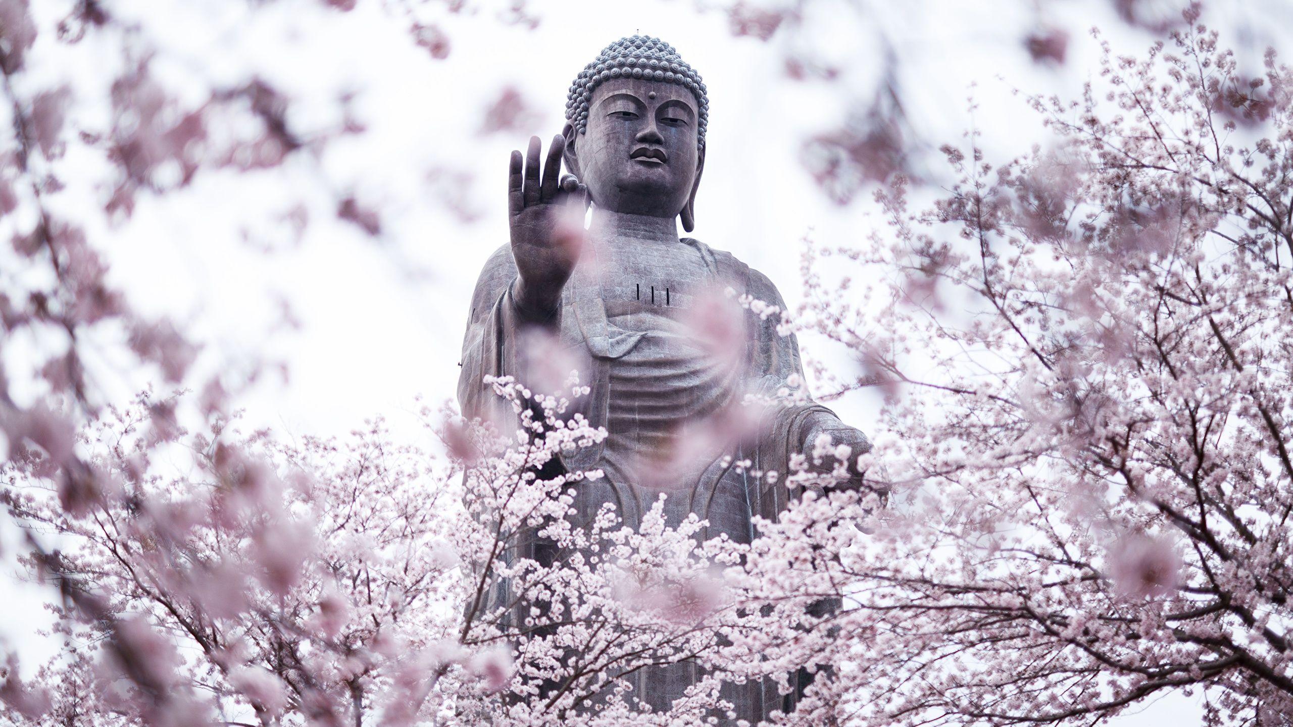 2560x1440 Wallpaper Buddha Sculptures 2560x1440