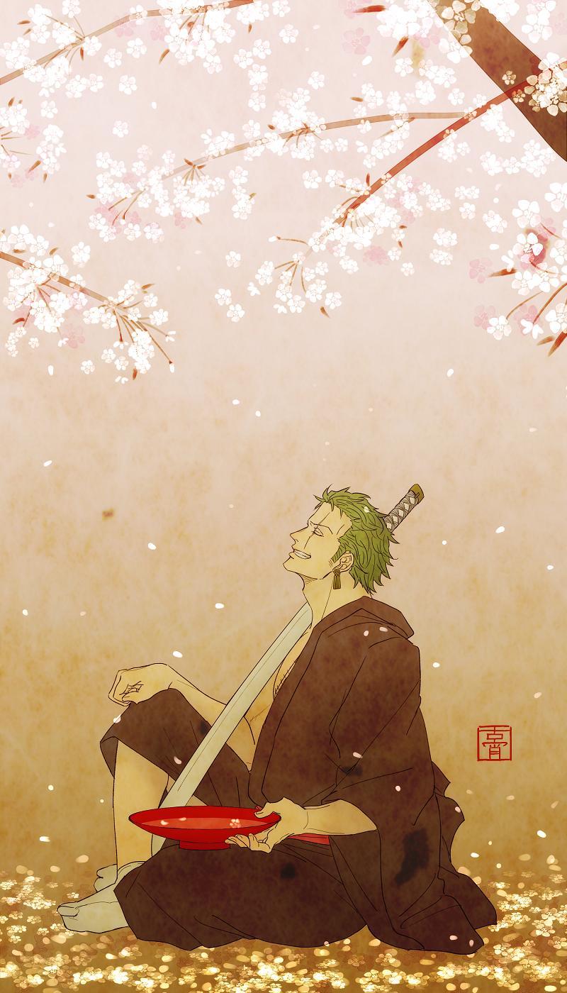 800x1400 Zoro One Piece Phone Wallpaper HD
