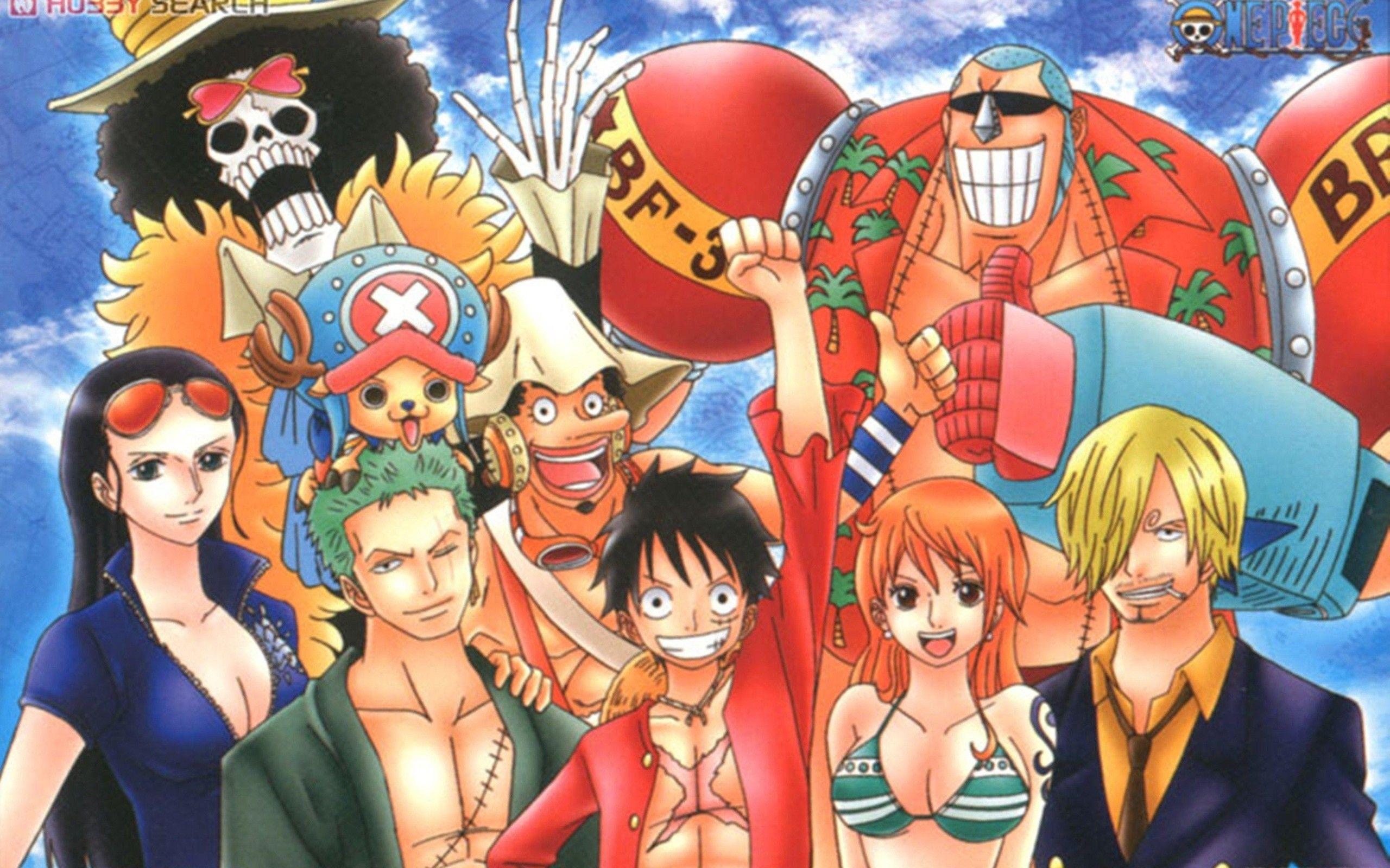 2560x1600 Robin One Piece Wallpaper