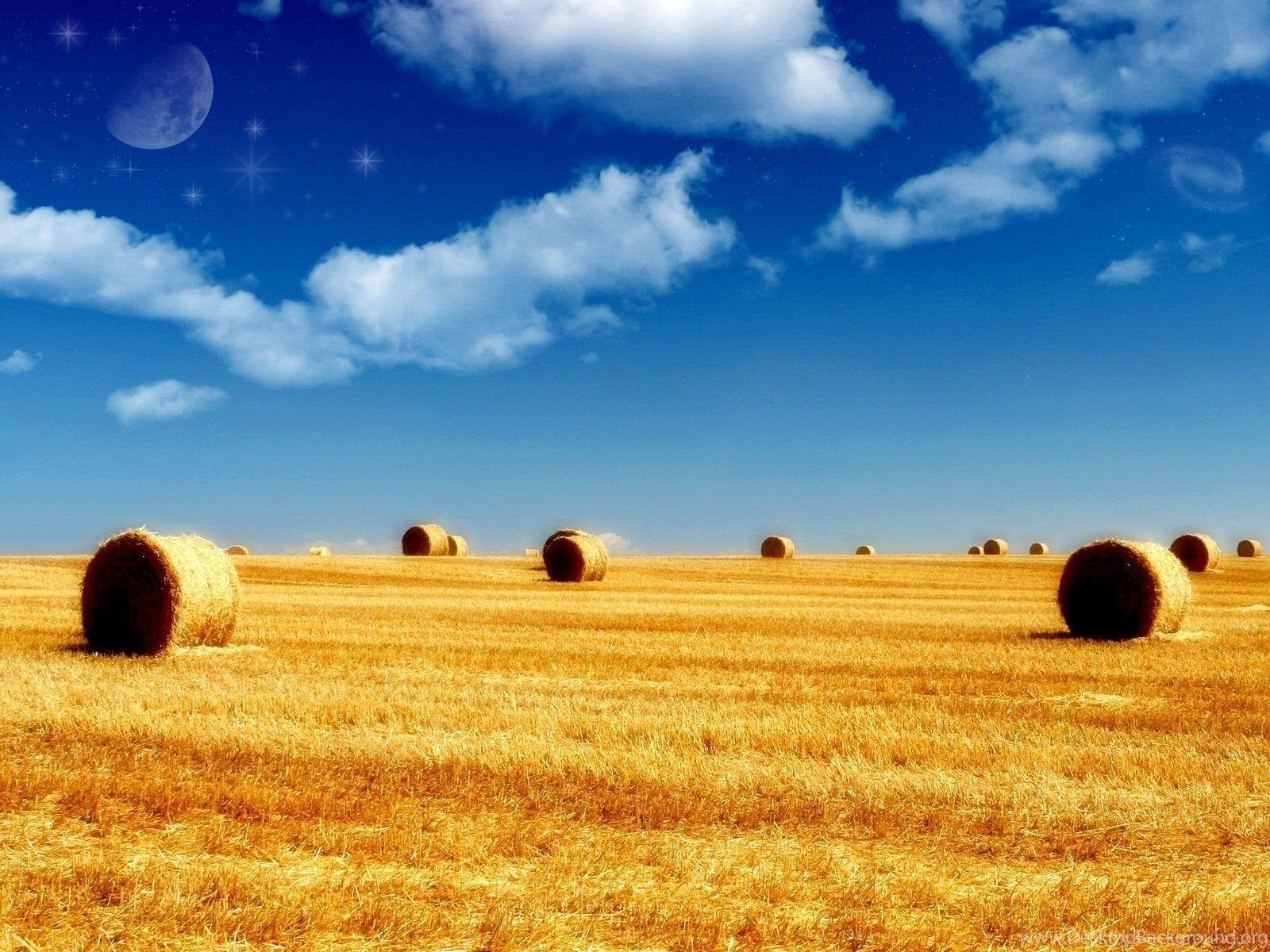 1600x1200 Welcome Summer Wallpaper HD Wallpaper Desktop Background