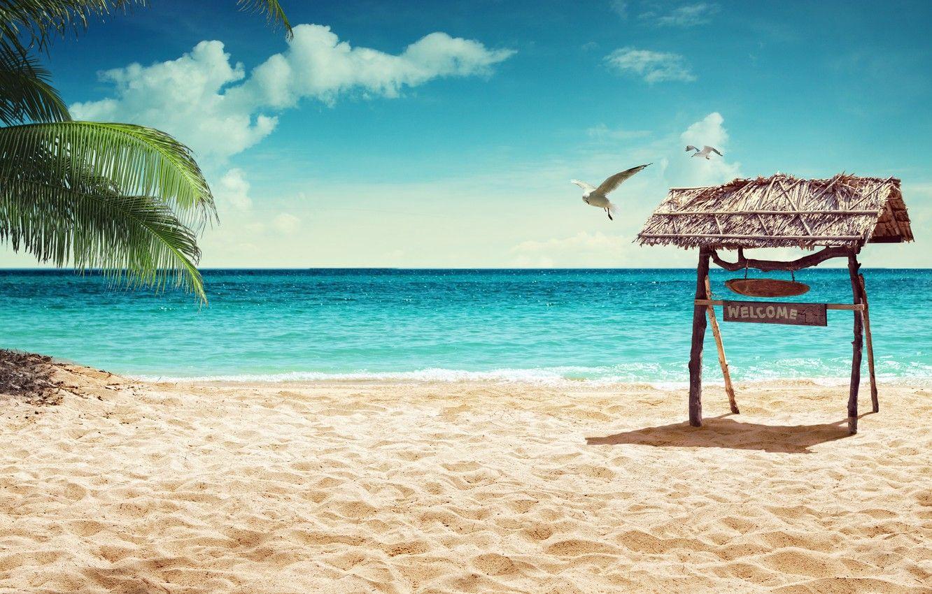 1332x850 Wallpaper sand, sea, beach, nature, the ocean, summer, beach, sea, sunset, island, Maldives, crystal, sand beach, tropical, Tropical image for desktop, section природа