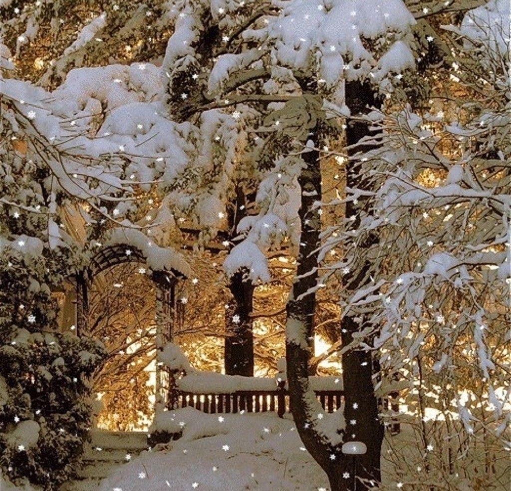 1024x984 August 2016 wallpaper: Winter Park Scenery Snow Nature