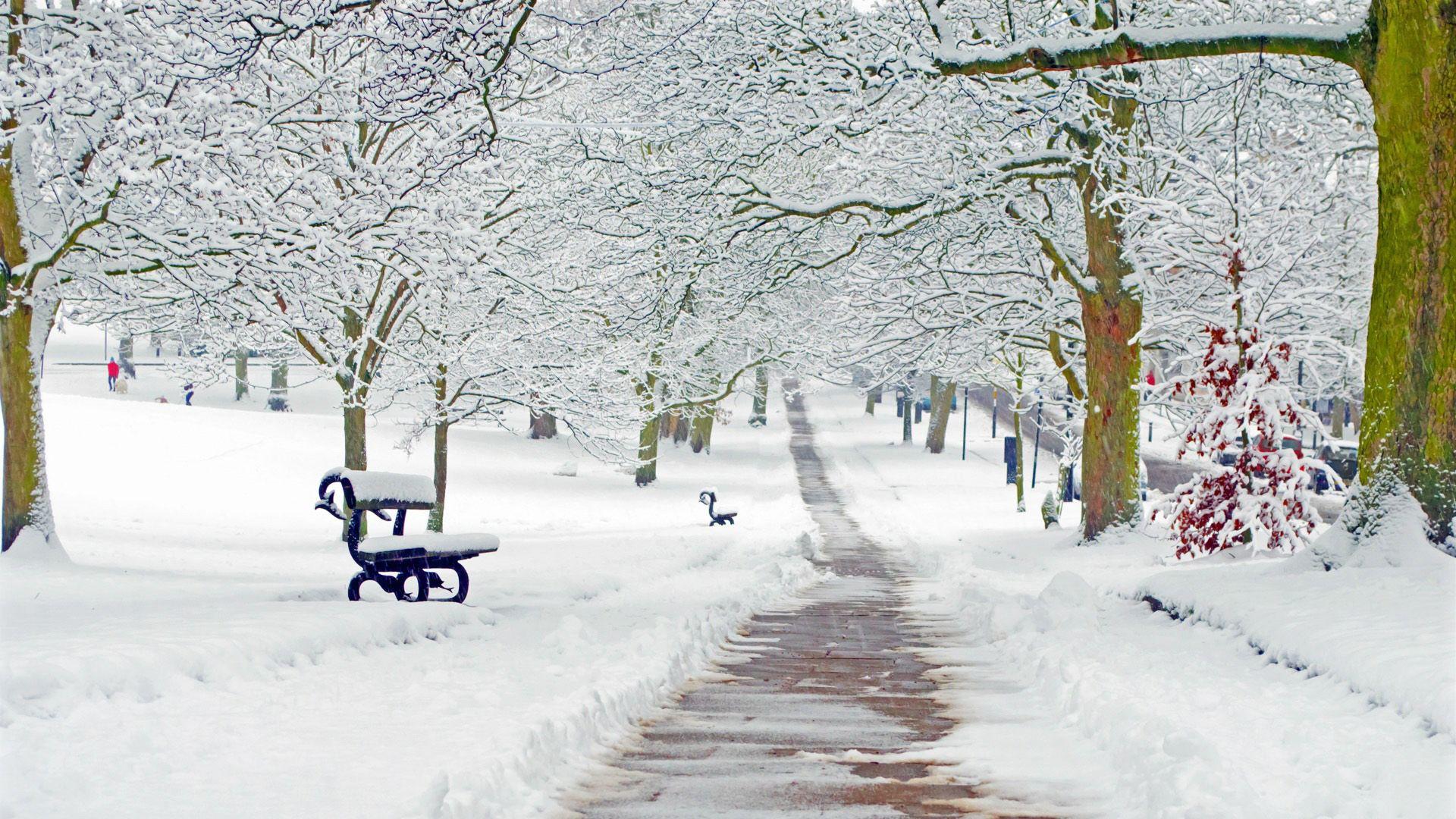 1920x1080 Stunning Winter Season HD Wallpaper