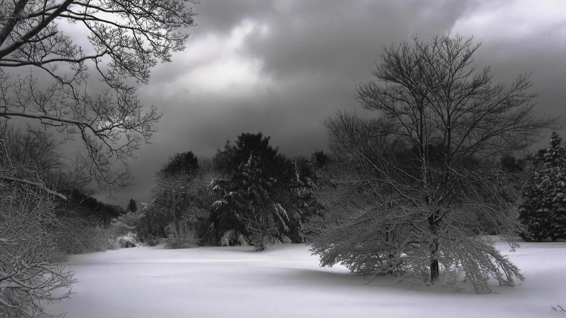1920x1080 wallpaper: Nature Snow Winter Trees Computer