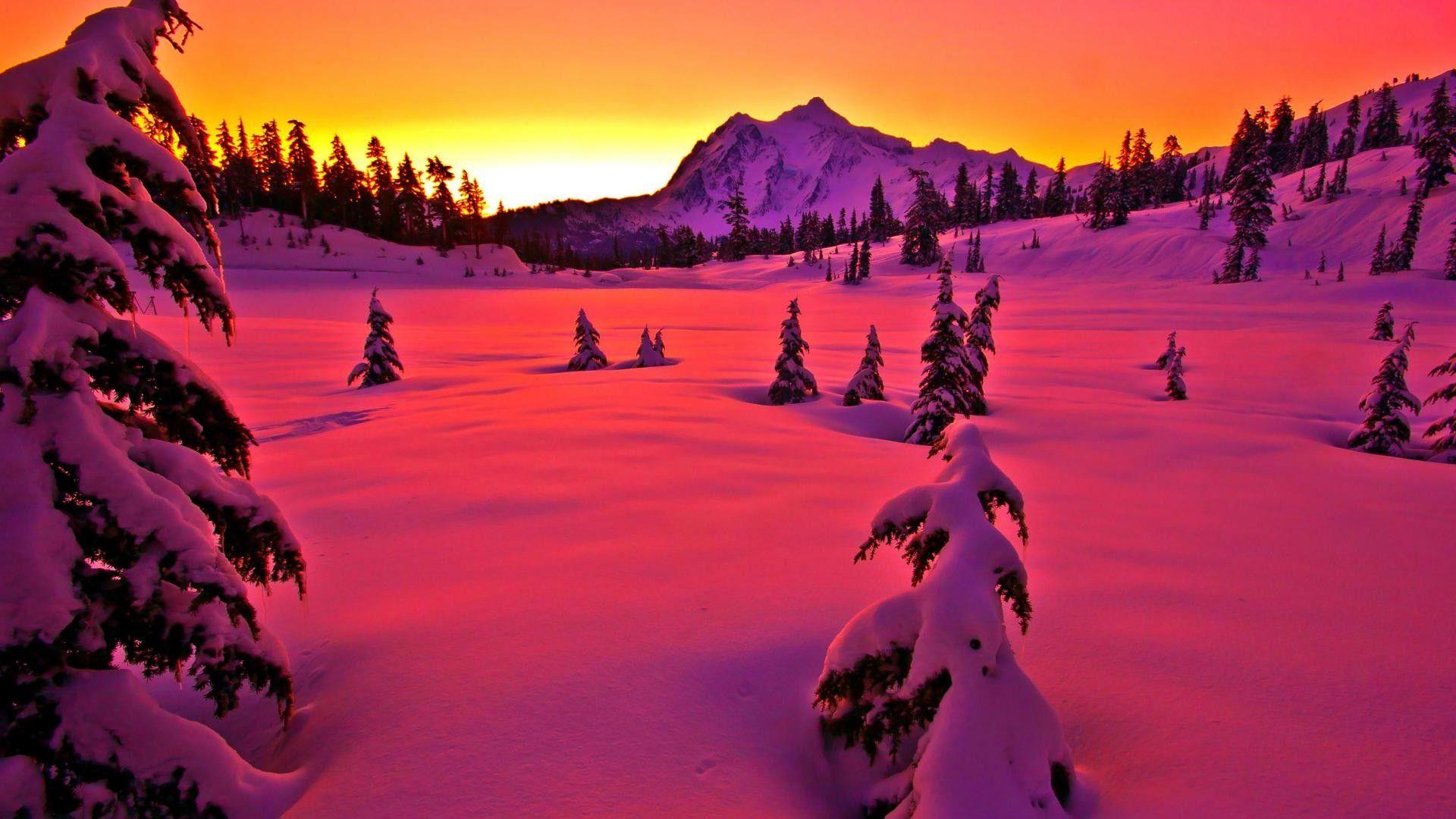 Exotic Winter Wallpapers - Top Free Exotic Winter Backgrounds 