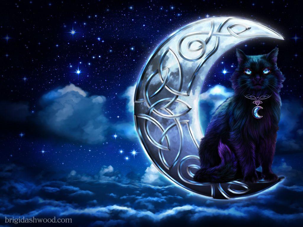 Cat and Moon Wallpapers - Top Free Cat and Moon Backgrounds