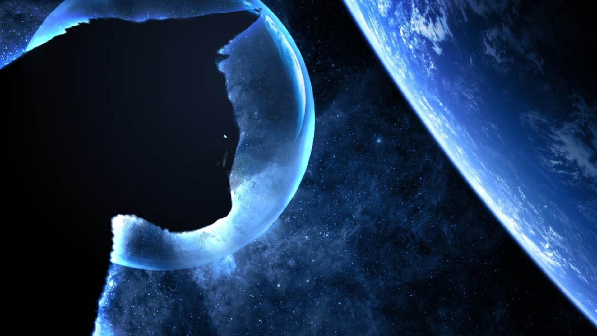 1920x1080 Cat in space