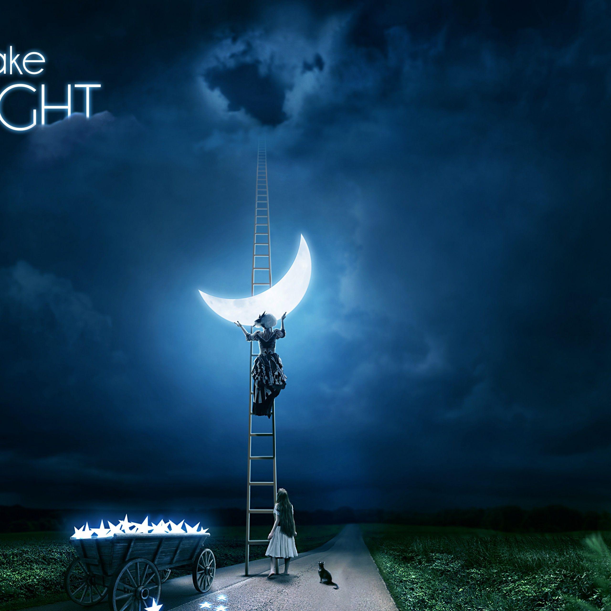 2560x2560 Wallpaper Night, Fantasy, Half moon, Girl, Cat, Road, 4K, Creative Graphics,. Wallpaper for iPhone, Android, Mobile and Desktop