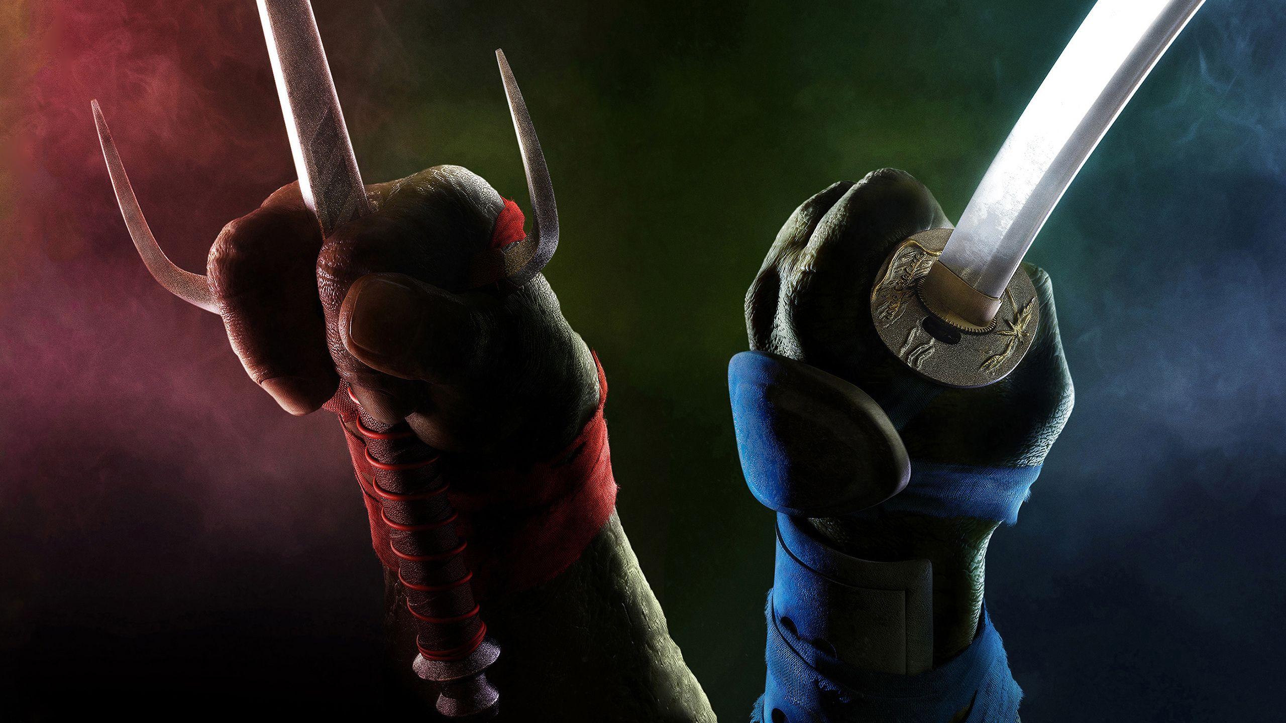 2560x1440 Raphael Leonardo TMNT 2014 Wallpaper