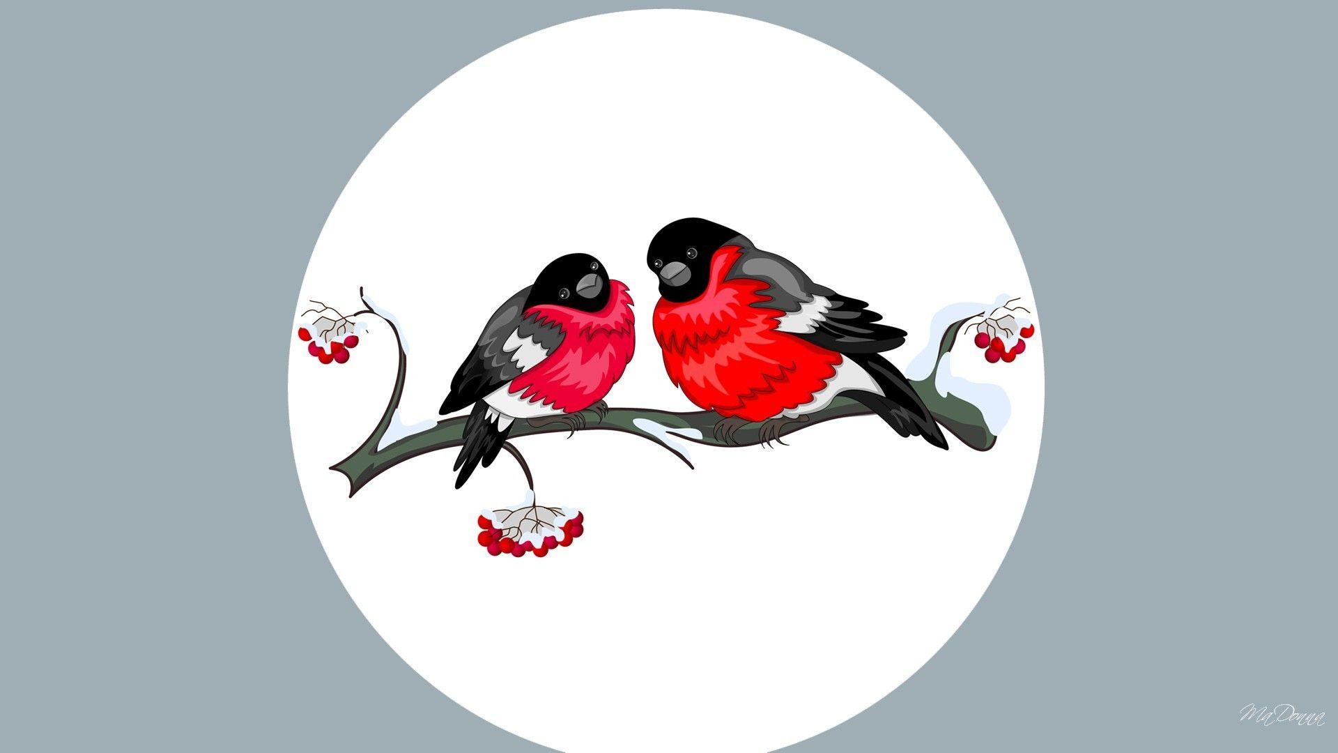 1920x1080 Bird: Full Birds Winter Christmas Branch Navidad Moon Snow Feliz