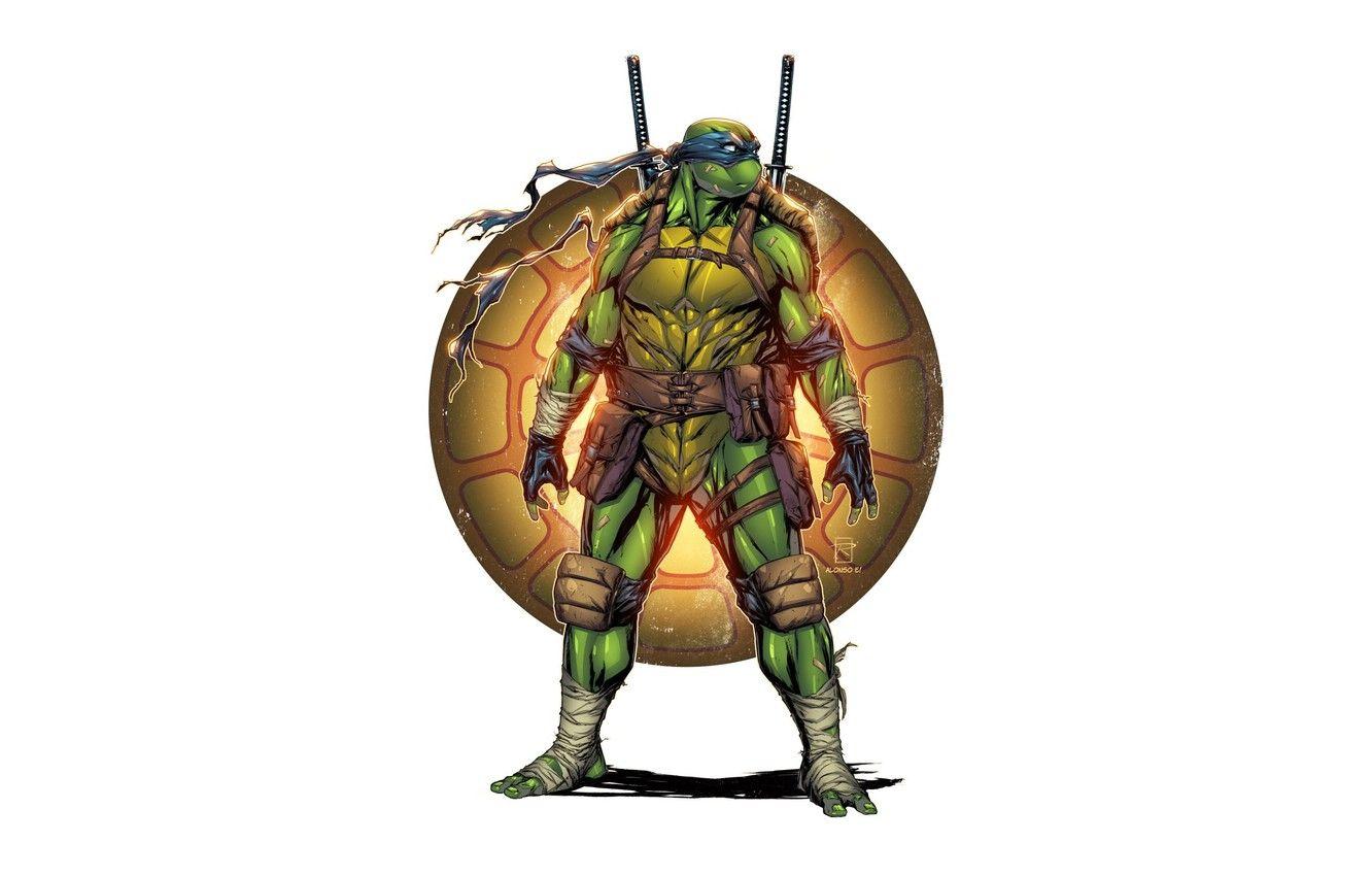 1332x850 Wallpaper Minimalism, Style, Background, Fantasy, Teenage mutant ninja turtles, Art, Style, TMNT, Leonardo, Leonardo, Teenage Mutant Ninja Turtles, Background, Illustration, Leo, Minimalism, by Raymond Gay image for desktop, section минимализм