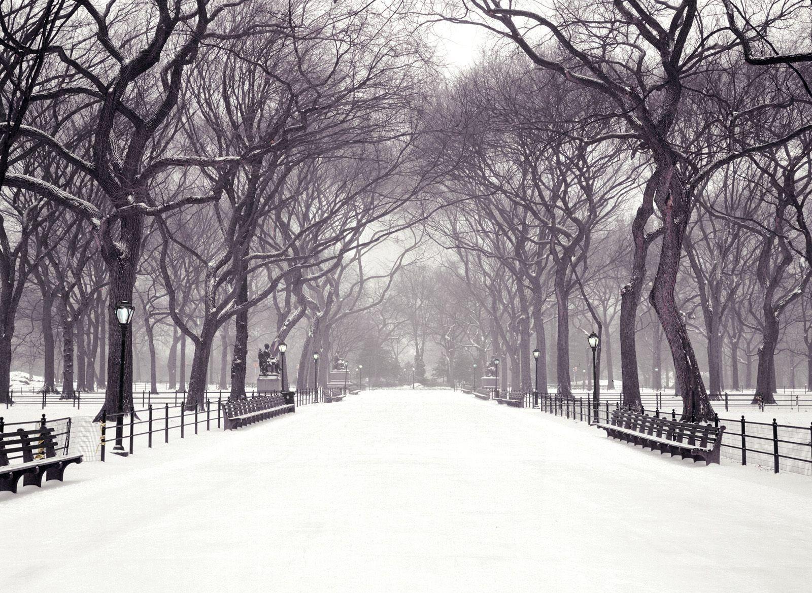 1600x1169 Me encantaría ir en invierno. Central park winter, New york christmas, Winter wallpaper