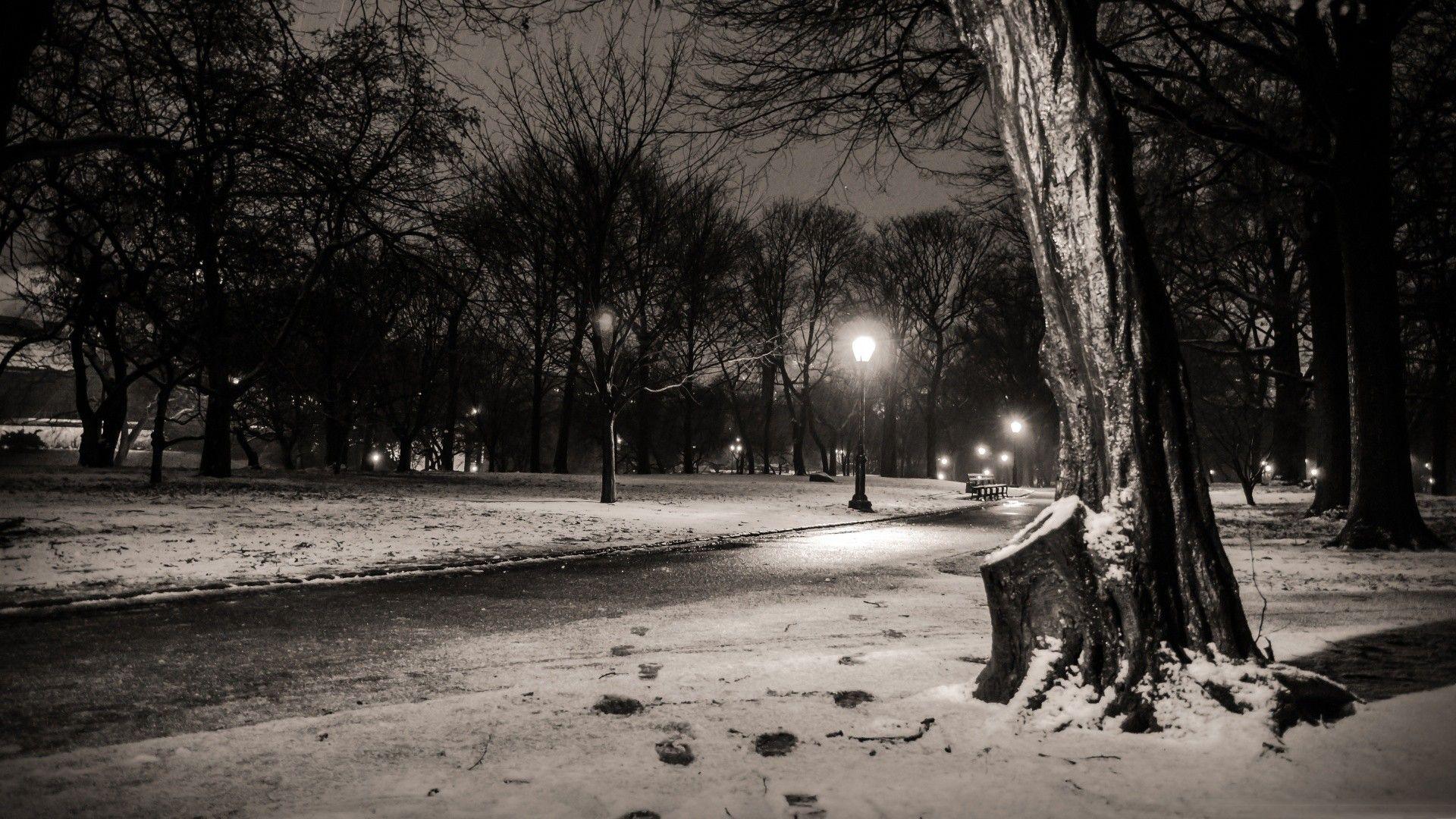 1920x1080 black and white, nature, snow, trees, dark, night, lights, New York City, Central Park, footsteps wallpaper
