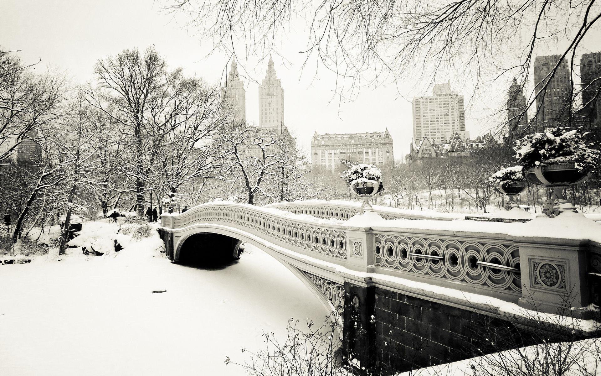 1920x1200 Central Park Winter Wallpaper