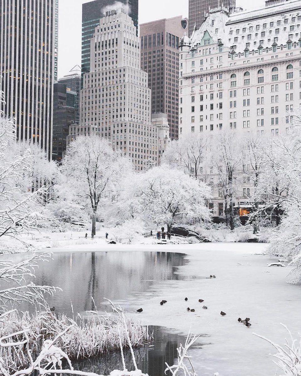 960x1200 Winter. New york christmas, New york photography, New york photo