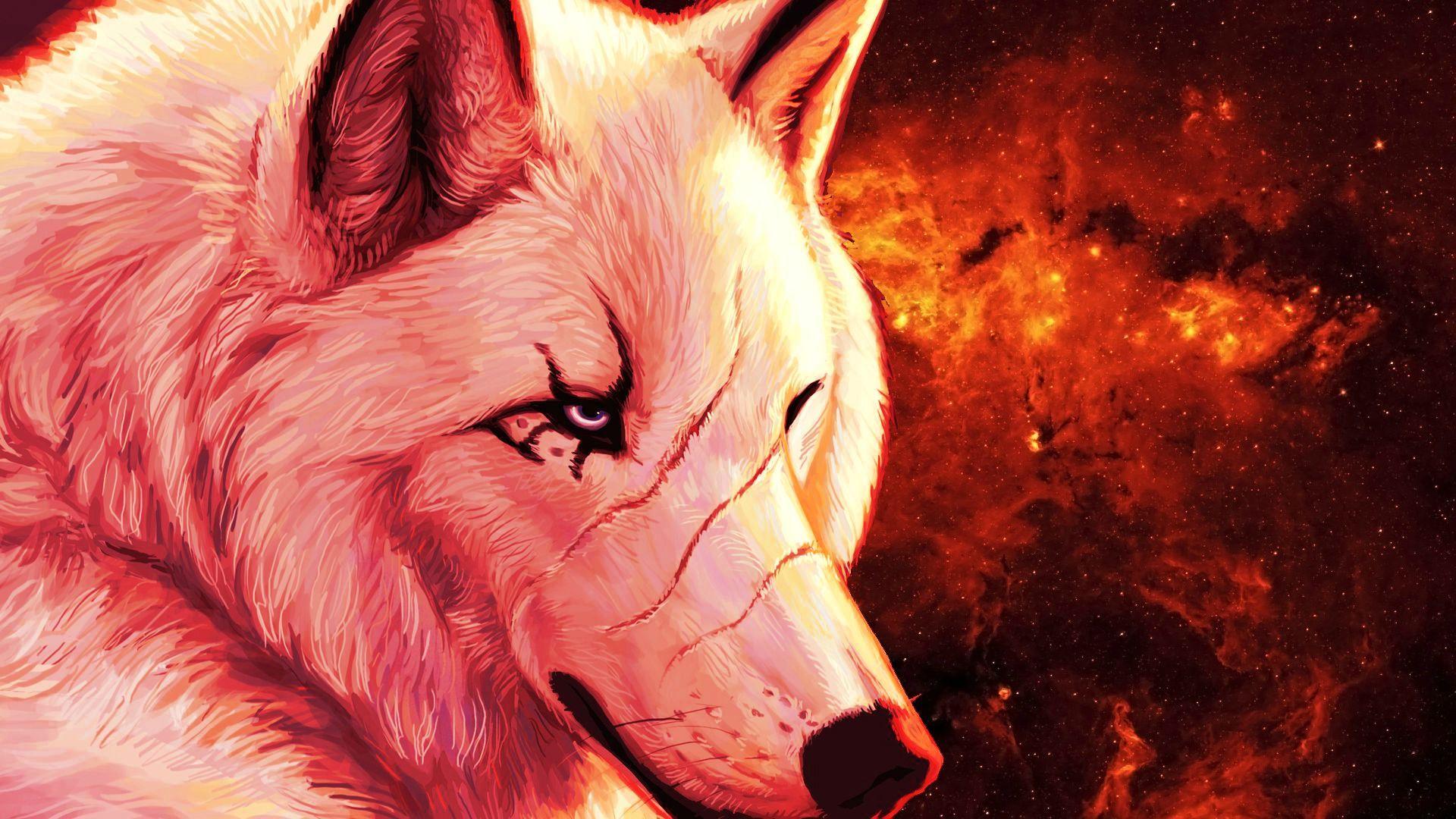 1920x1080 Wolf Desktop Background