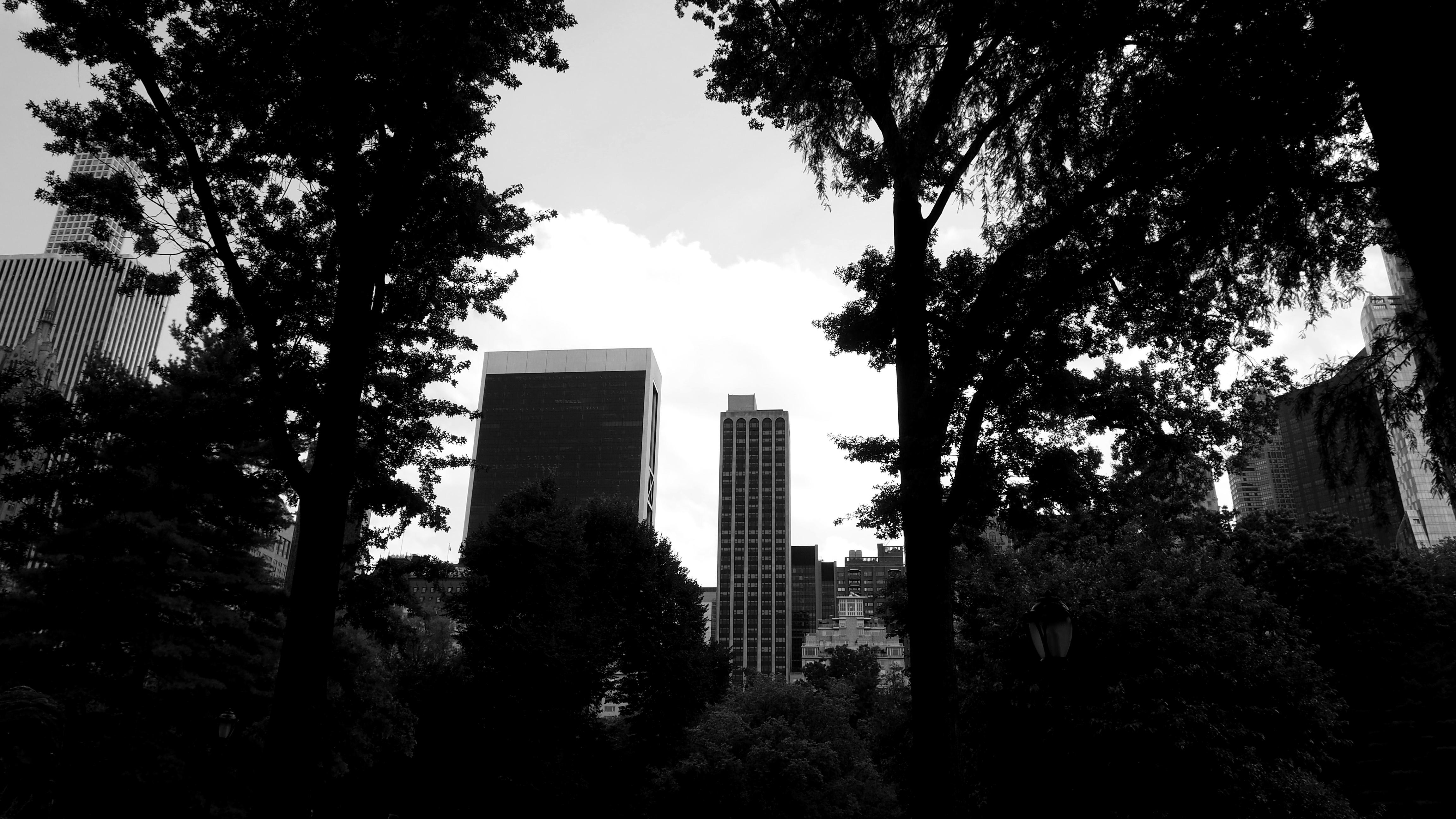 4608x2592 OC Central Park