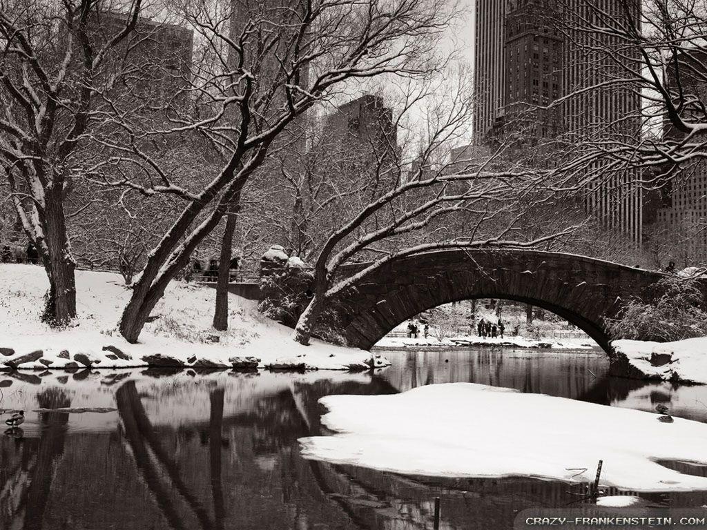 1024x768 Free download Wallpaper Central Park Winter Wonderland wallpaper [1024x768] for your Desktop, Mobile & Tablet. Explore Central Park Winter Wallpaper. Central Park Spring Wallpaper, NYC Spring Wallpaper, Central Park Fall Wallpaper