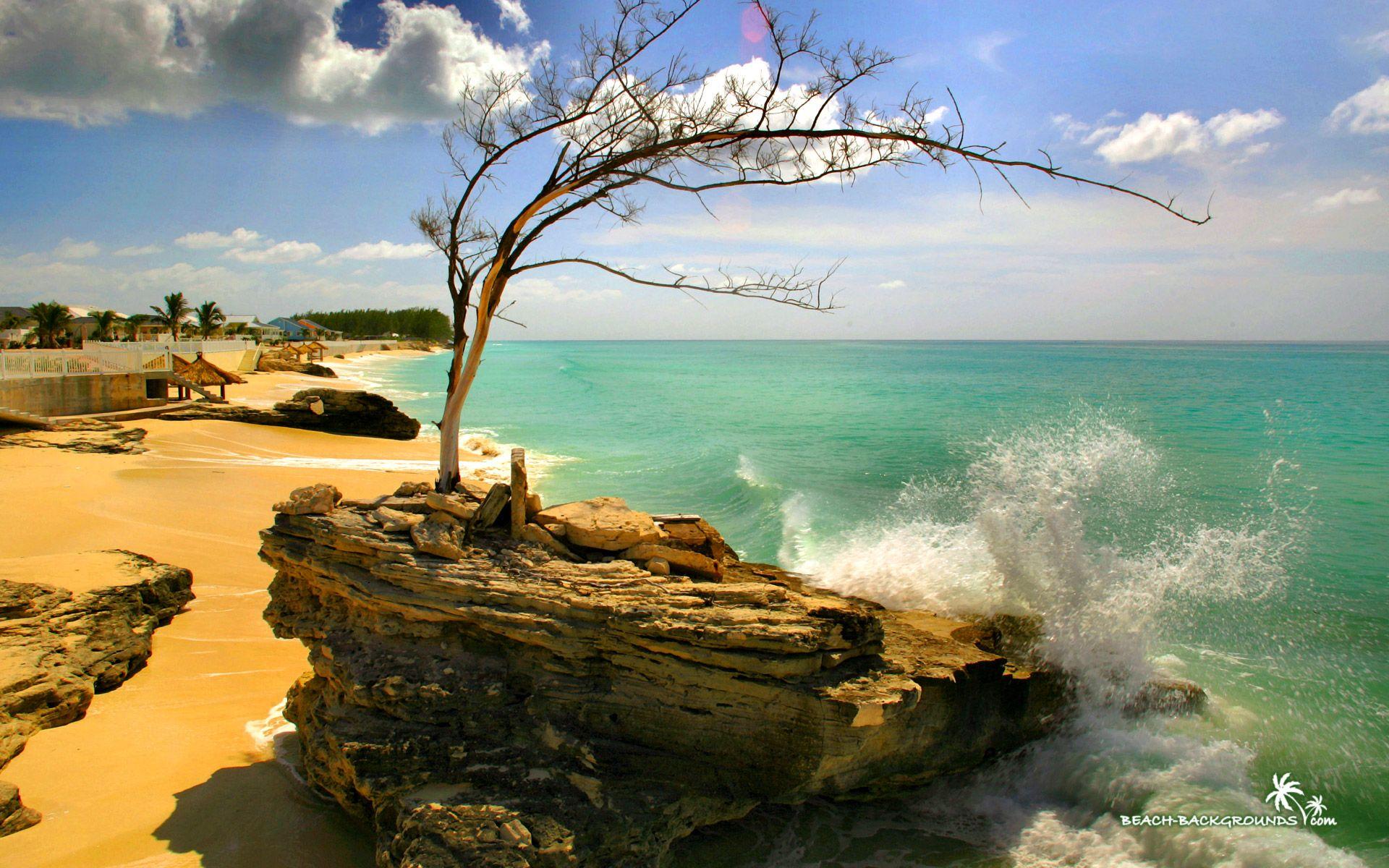 1920x1200 Wallpaper, beach, bimini, beautiful, resort, stones, stone, image