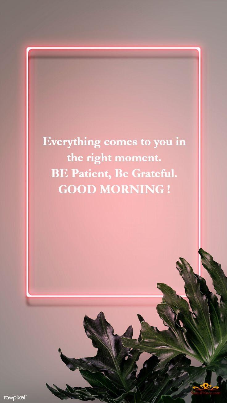 736x1308 Grateful. Wallpaper and Quotes