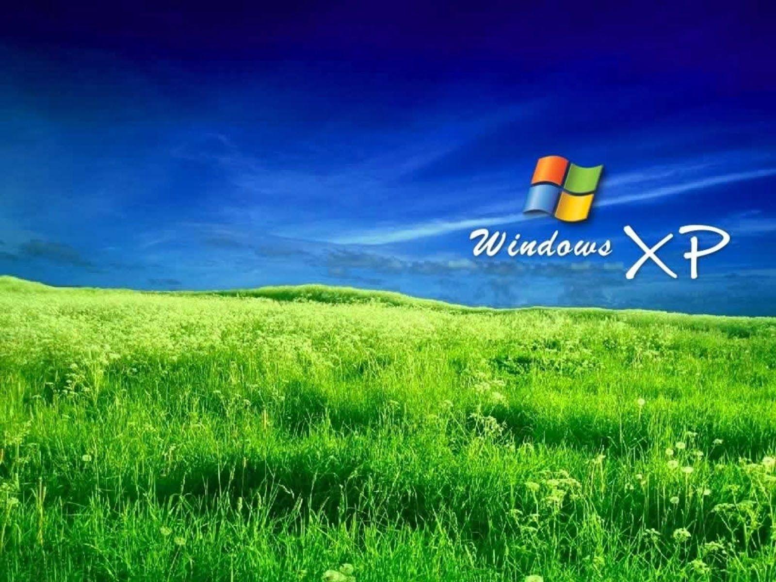 1600x1200 art picture: Grass Windows XP Wallpaper