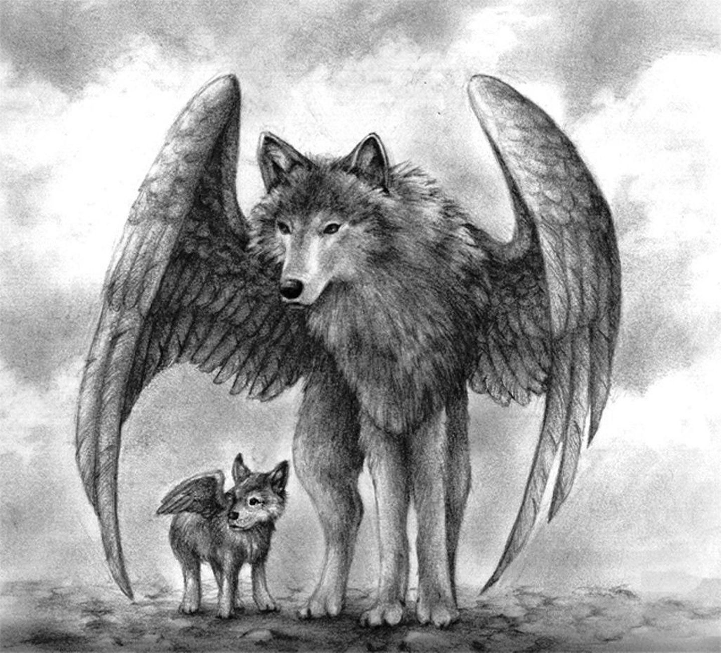 Winged Wolf Wallpapers - Top Free Winged Wolf Backgrounds - WallpaperAccess