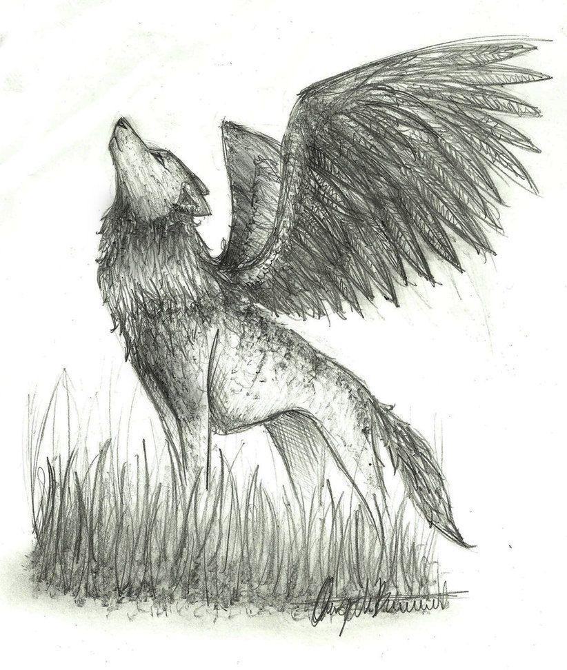 822x972 Sketch Winged Wolf. Dog drawing simple, Cats art drawing, Dog drawing
