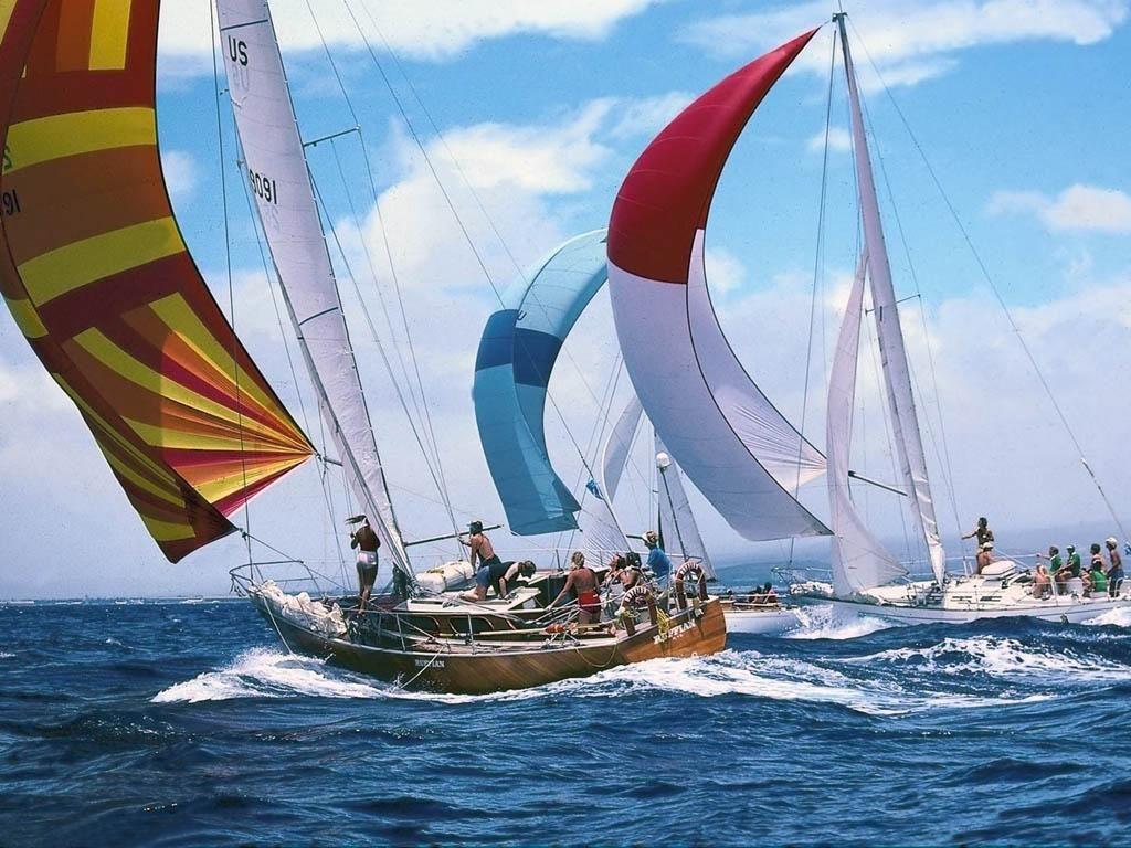 sailboat racing on tv
