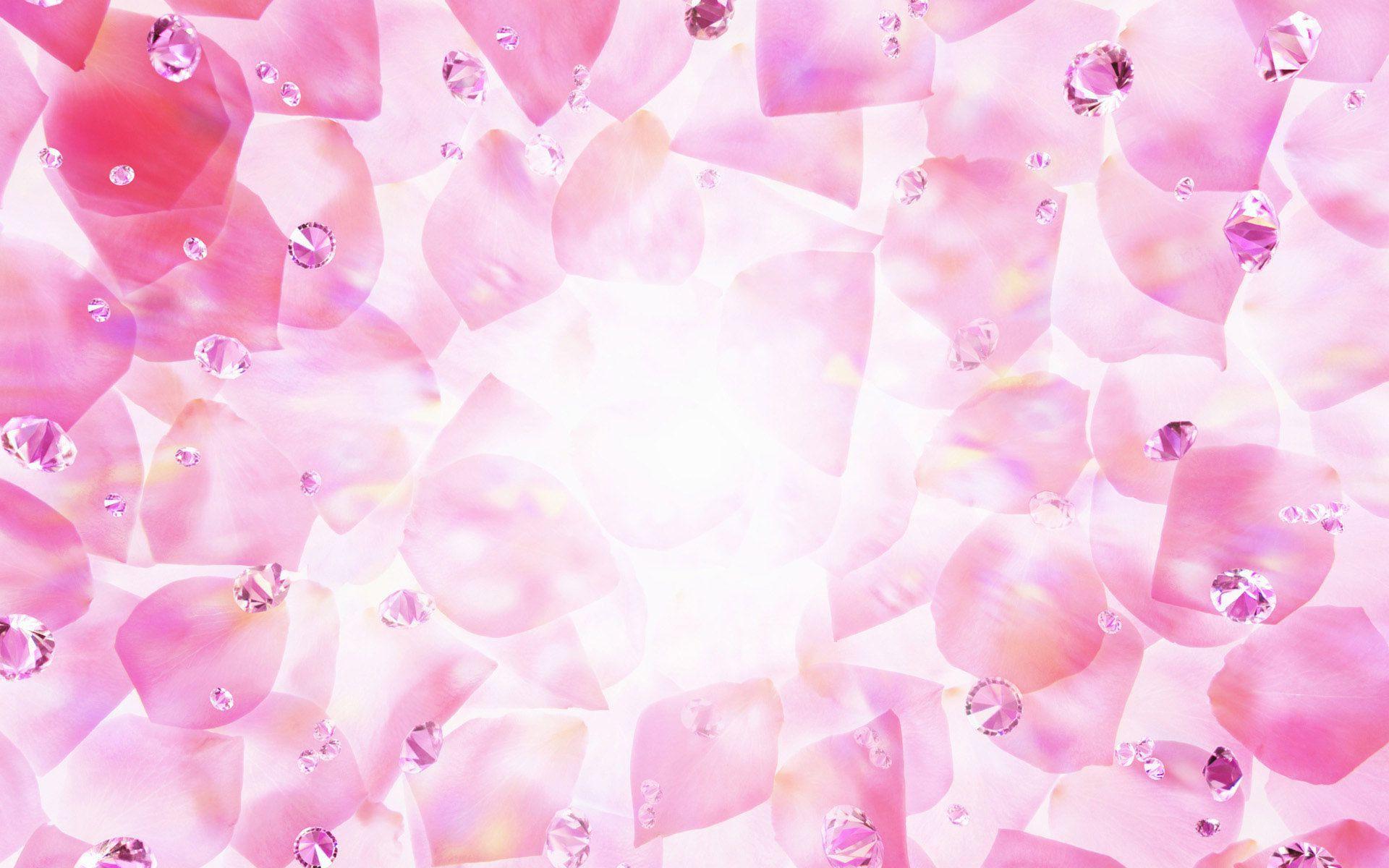 1920x1200 Pink Rose Vector