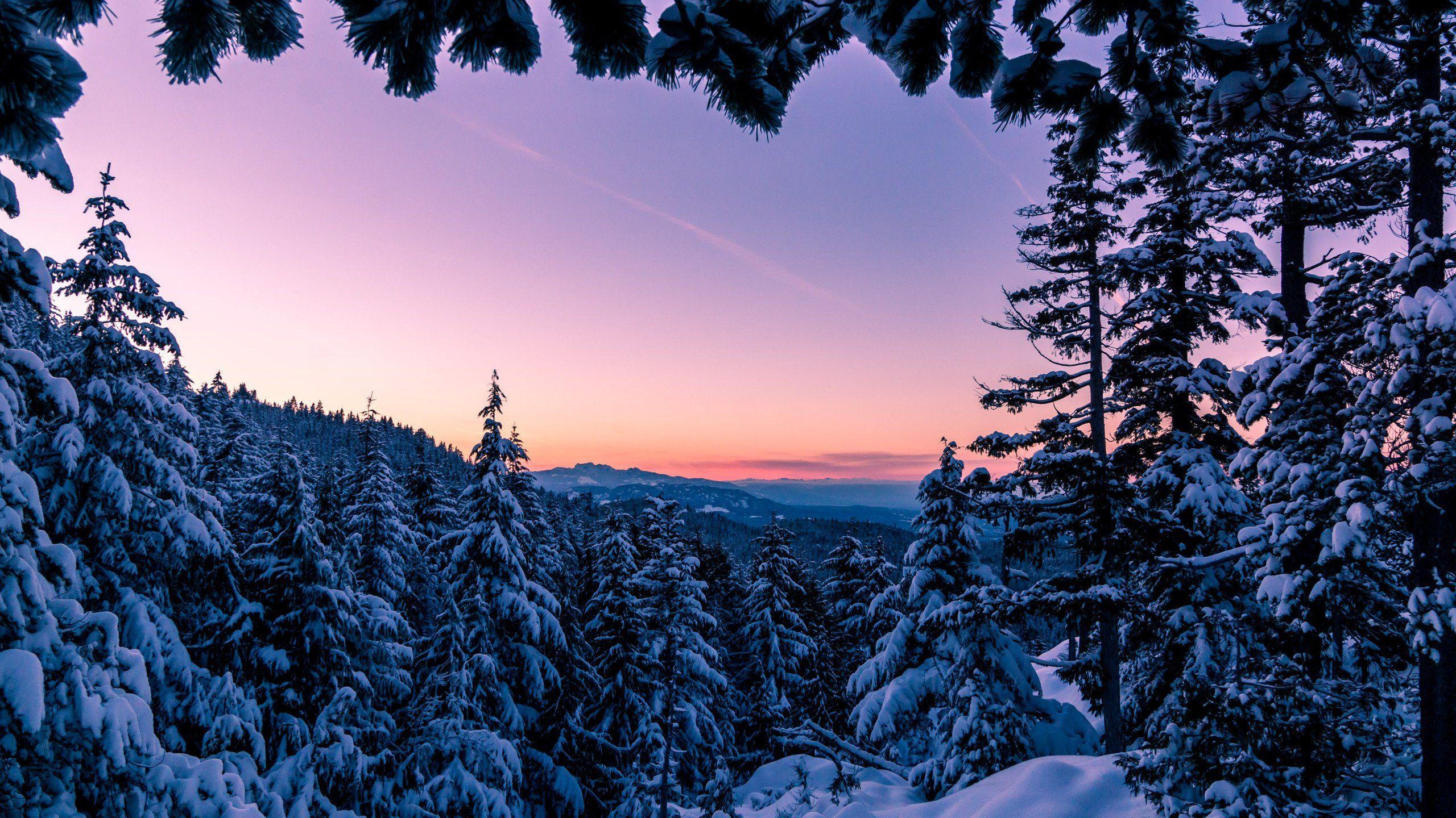 2560x1440 Vancouver 4K wallpaper for your desktop or mobile screen free and easy to download