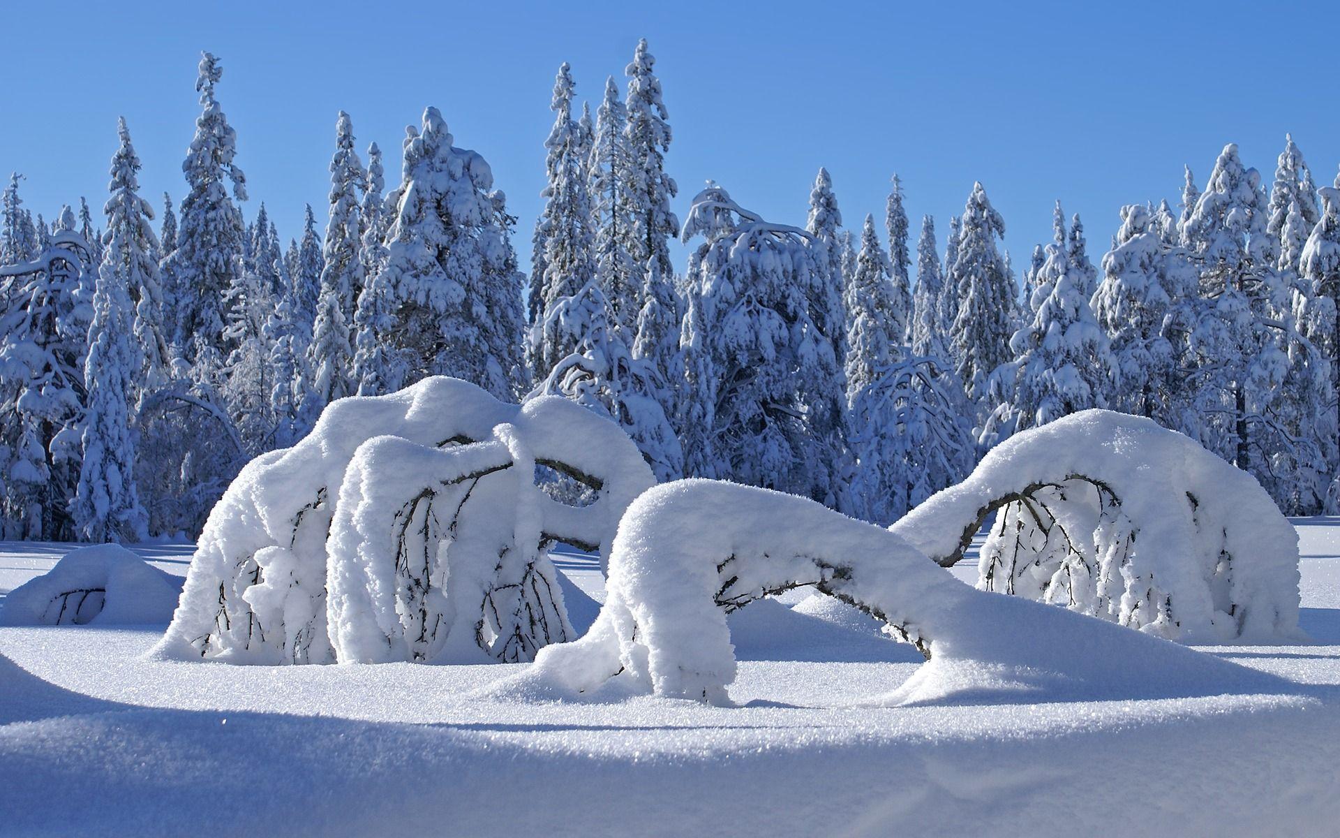 1920x1200 Winter wallpaper. Winter