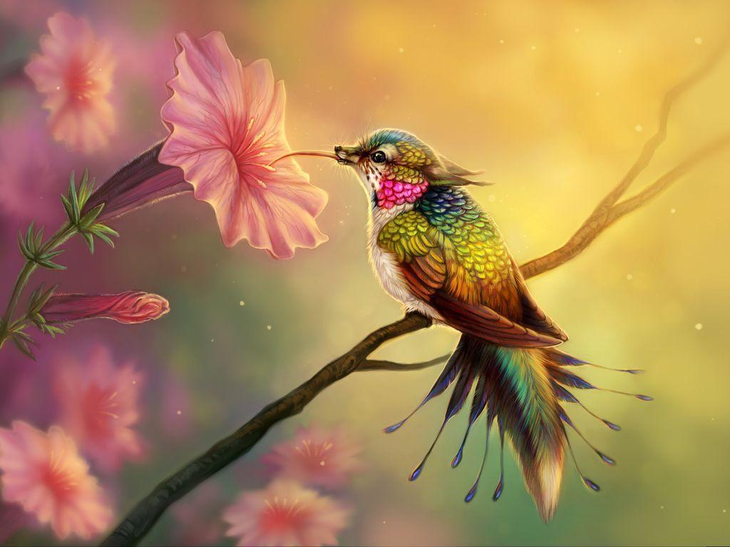 1024x768 Hummingbird Fantasy Abstract Fractal Wallpaper and Background Image