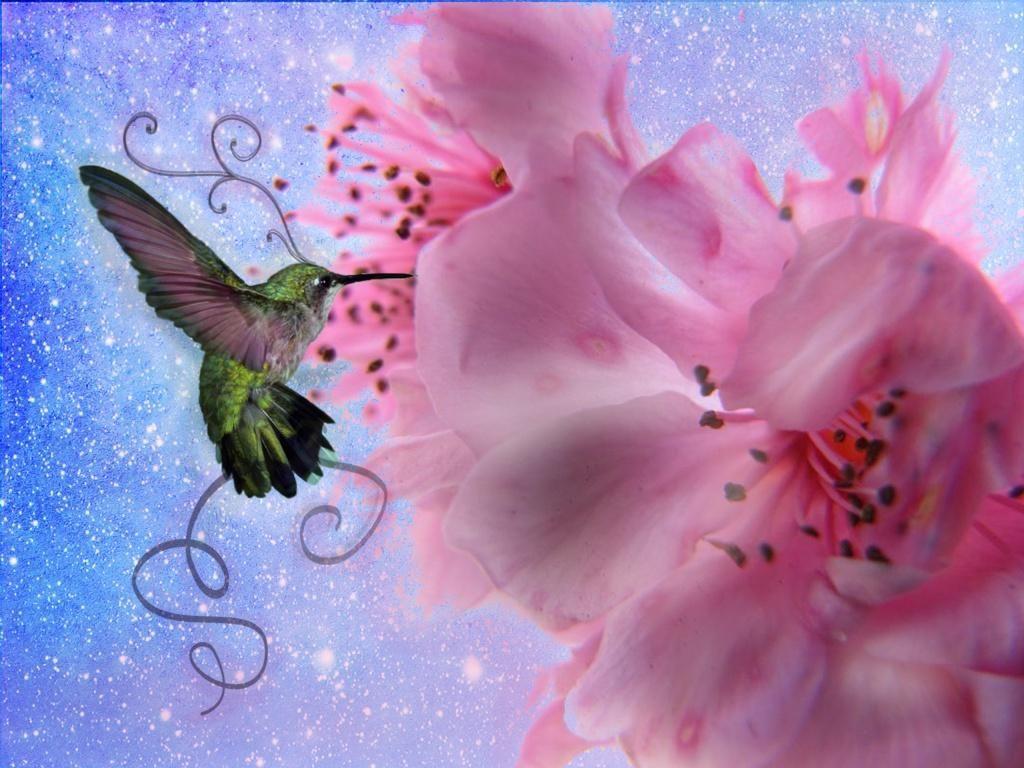 1024x768 Hummingbird Paintings Wallpaper. Hummingbird. HD Wallpaper. Picture. Image. Background. Photo. Hummingbird wallpaper, Hummingbird painting, Bird wallpaper