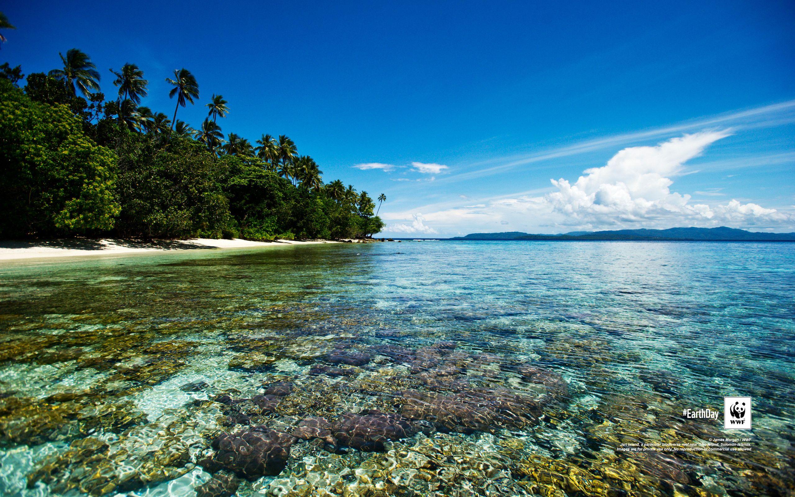 2560x1600 Wwf Wallpaper 86dft41 Data Src W Full F 3 A 466001