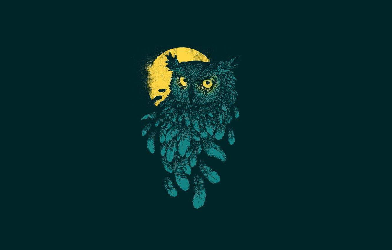 1332x850 Wallpaper the dark background, owl, bird, minimalism, feathers, moon, owl, yellow moon image for desktop, section минимализм