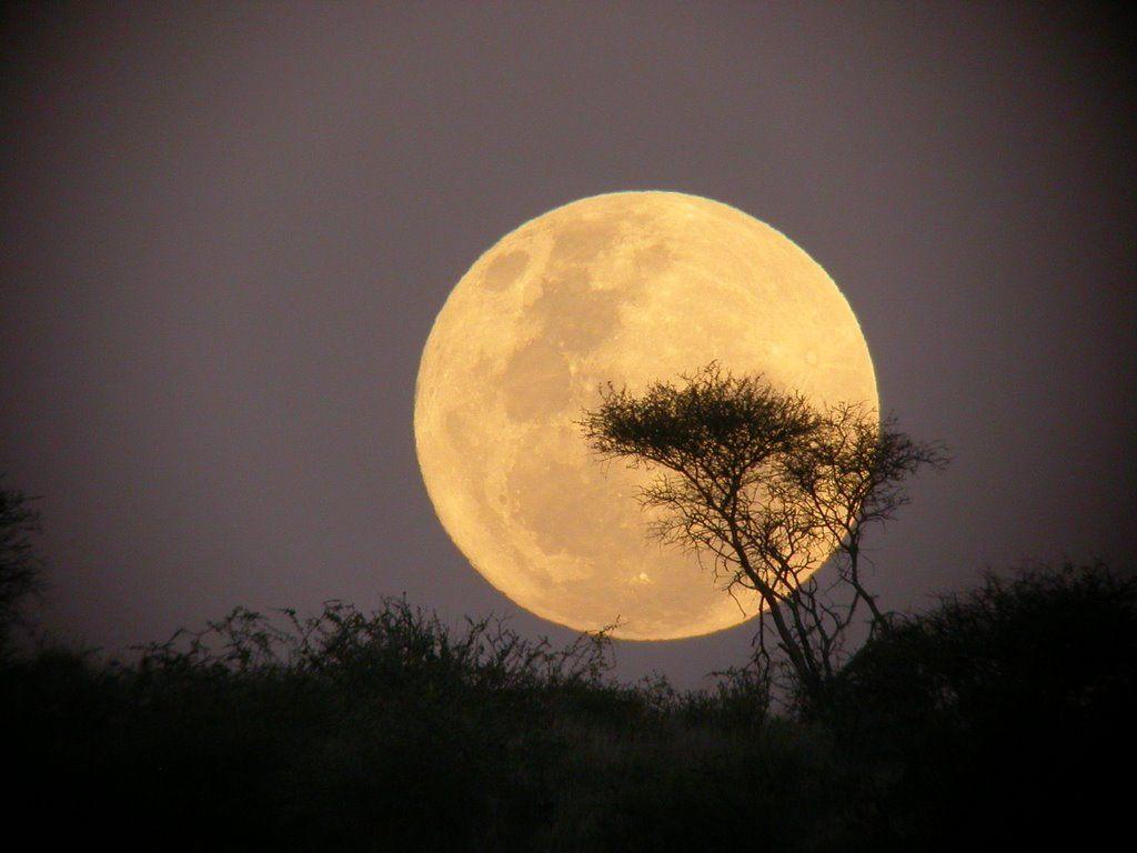 1024x768 Mark Scrivener Poetry: Poems and their Background: Poetry Blog No 172 Yellow Moon