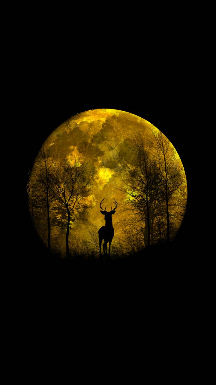 720x1280 Deer Moon wallpaper